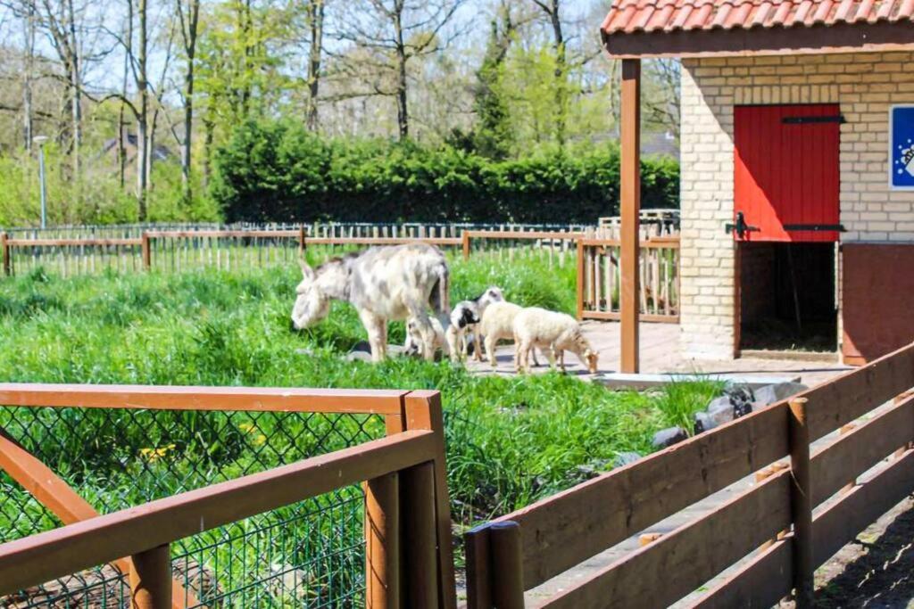 Tof Wellness Huis, Alles Nieuw, Gelegen Bij Meer. Ewijk Exteriér fotografie